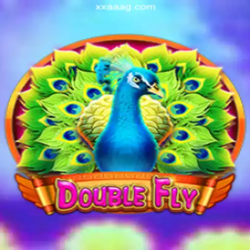 DoubleFly: Soaring through the Skies of XXAA Brasil